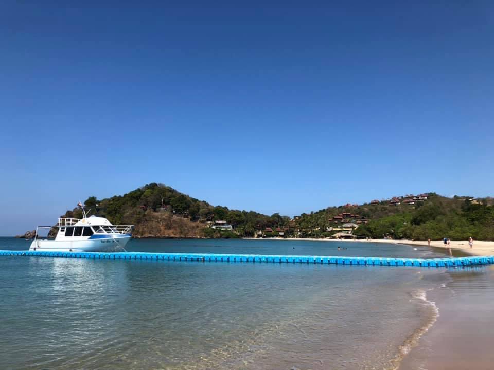 Chris Seal tweet media