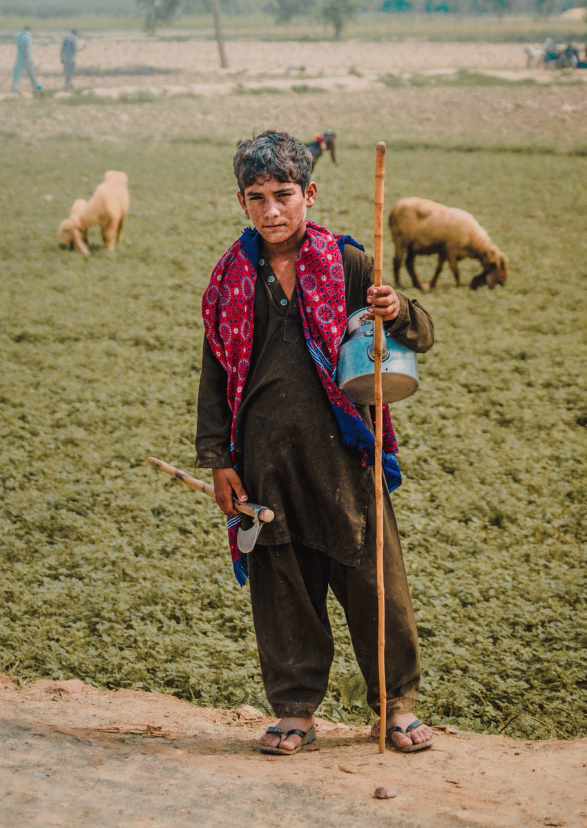 مجھے مشکلوں نے باپ بن کر پالا ہے