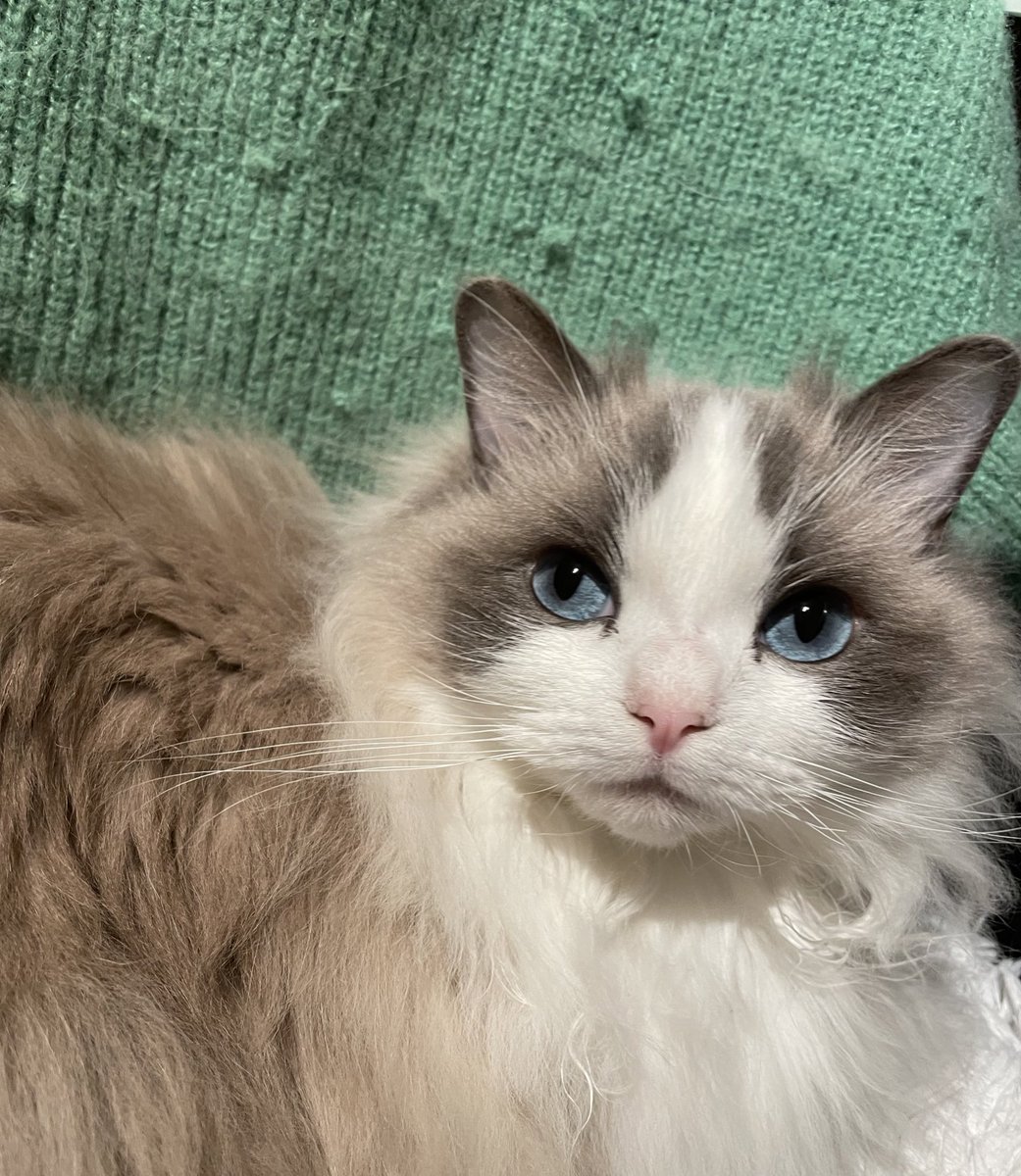 CrazySam tweet media