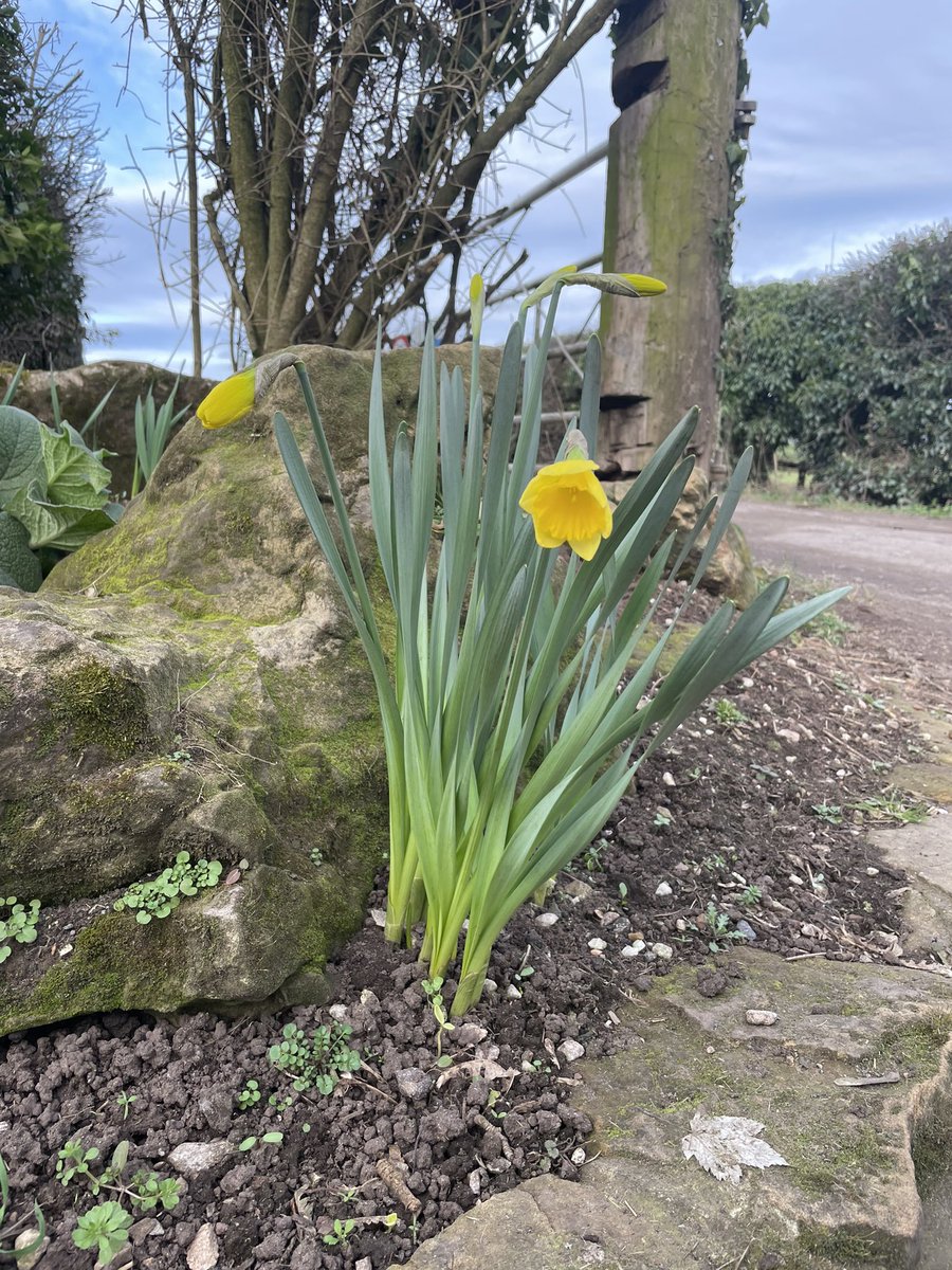 21 miles in total this week finishing off with a beautifully scenic but rather undulating route. Just the 35k steps for me yesterday 😳 justgiving.com/fundraising/ka… any donations are greatly appreciated motivation 😊