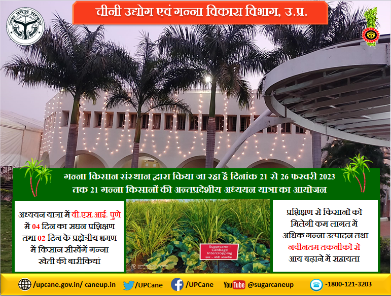 UPCane's tweet photo. ''गन्ना किसान संस्थान द्वारा किया जा रहा है दिनांक 21 से 26 फरवरी 2023 तक 21 गन्ना किसानों की अन्र्तप्रदेशीय अध्ययन यात्रा का आयोजन''
#upcane
#gannakisansansthan
@UPCane @UPGovt @CMOfficeUP @InfoDeptUP https://t.co/3SZAsREBg0