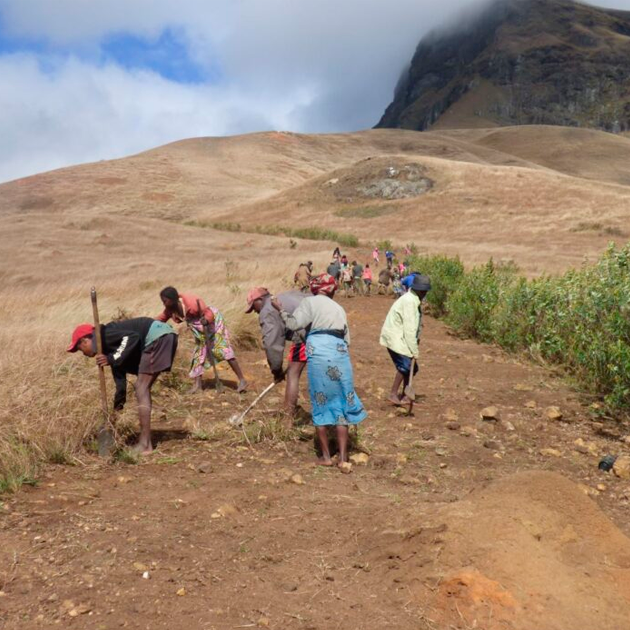 IUCNsos's tweet photo. 50 km of firebreak now surrounds the forest of Ivohiboro and more than 6โ000 employment opportunities have been created by one of our projects in Madagascar!
#KeepNatureStanding @PConservancy
https://t.co/Xuf3RC8mb4 https://t.co/hp2B6fPaFh