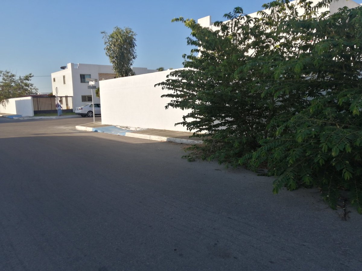 CHIWI RAMIREZ tweet media