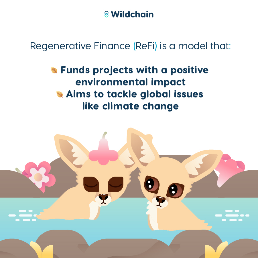 Play Wildchain 📲 tweet media