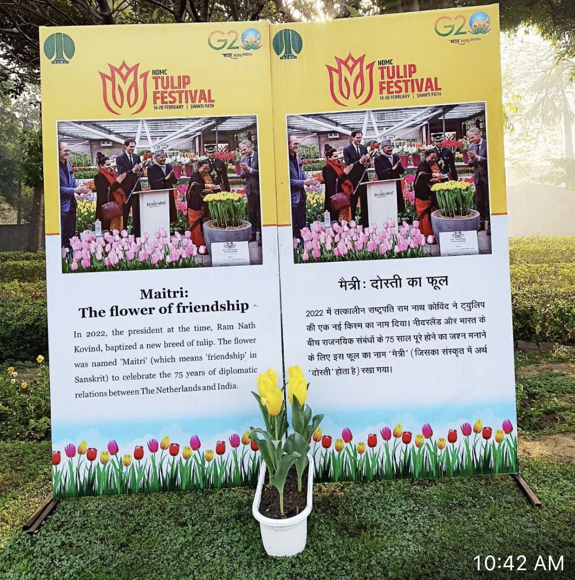Marten van den Berg (@bergmarten) on Twitter photo A wonderful walk with NDMC Chairman Shri Amit Yadav along the famous Dutch 🌷. <a href="/tweetndmc/">New Delhi Municipal Council Official</a> Please enjoy wonderful tulips in #NewDelhi and #dontmiss Tulip Walk org by #NDMC & explore Journey of #tulips in India & Netherlands. Don’t miss the Maitri tulip!
#NDMCTulipFestival A wonderful walk with NDMC Chairman Shri Amit Yadav along the famous Dutch 🌷. <a href="/tweetndmc/">New Delhi Municipal Council Official</a> Please enjoy wonderful tulips in #NewDelhi and #dontmiss Tulip Walk org by #NDMC & explore Journey of #tulips in India & Netherlands. Don’t miss the Maitri tulip!
#NDMCTulipFestival