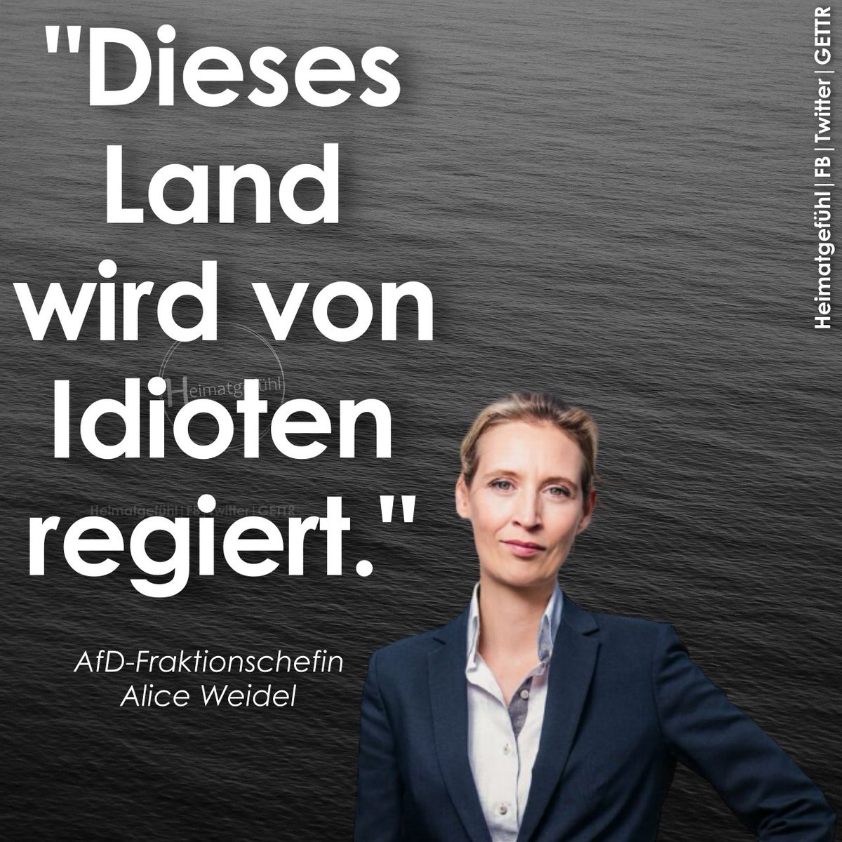 HeimatliebeDE's tweet photo. Guten Morgen! 🇩🇪 https://t.co/vkoG6V1bwM