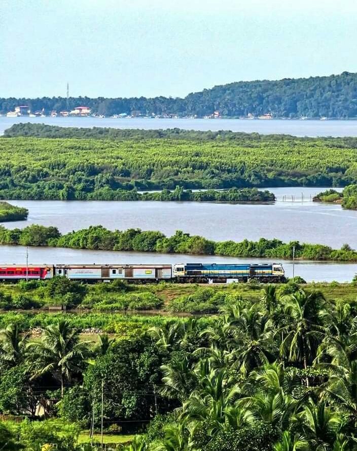 piedpiperlko's tweet photo. #IncredibleIndia
#IndianRailways
A beautiful capture of a train passing through a green scenic landscape of coconut trees, grasslands and water near Gokarna, Karnataka on the Konkan Railway route. 

Pic. courtesy: Ron https://t.co/bNHrrysNAg