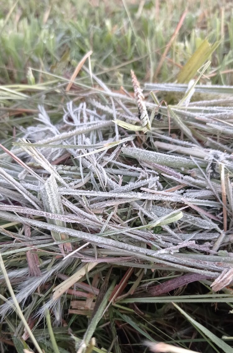 Naaaa, helada en Febrero🤔