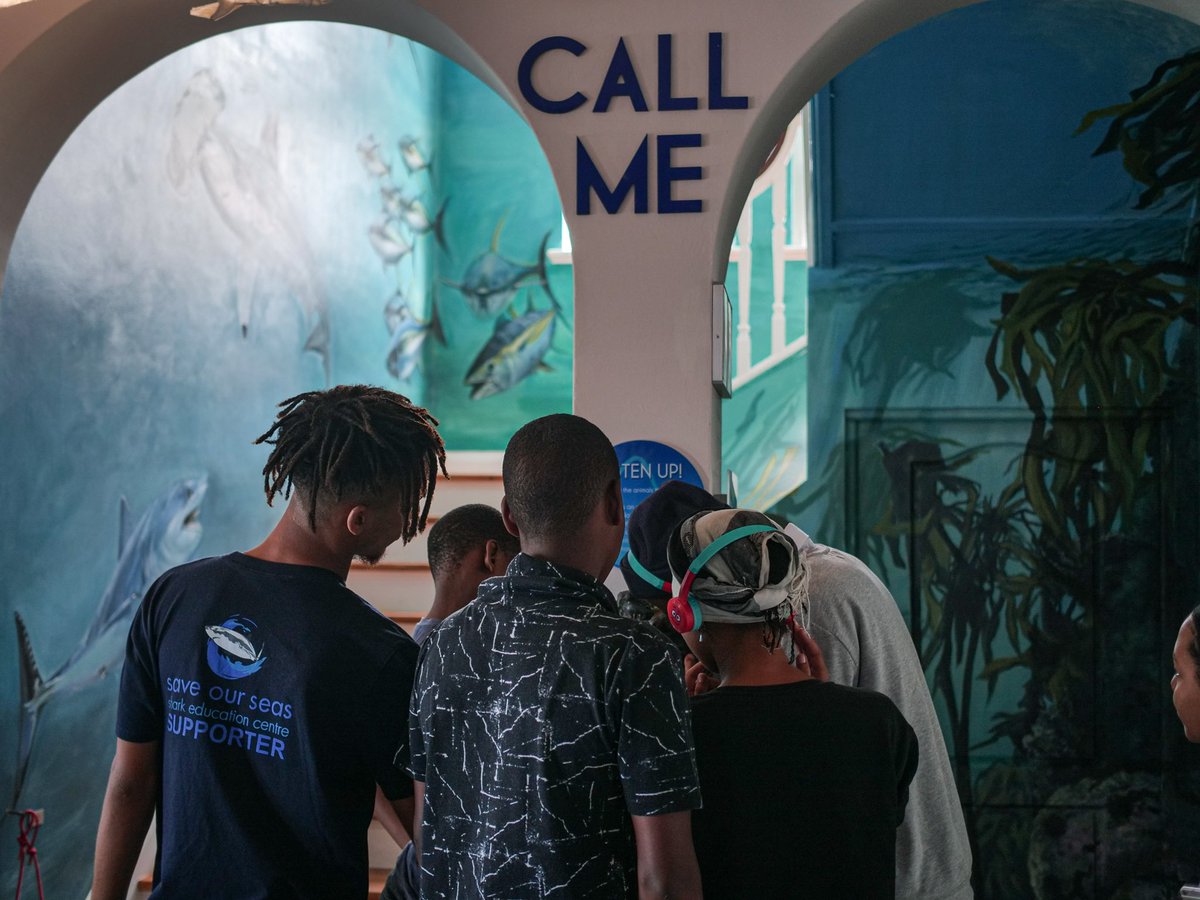 sharkcentre's tweet photo. Windy day down at the beach? That's no problem for our incredible #education team.
Last Friday, the team took our #MarineExplorers for an informative indoor classroom session. The kids from Eco Active enjoyed lectures, meet our creatures & played with our interactive exhibits! https://t.co/jAIzwArPAu