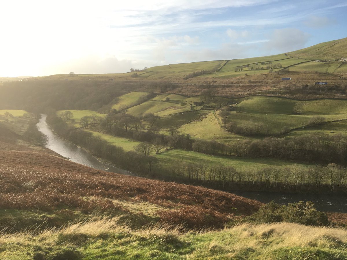 ruslandvalley's tweet photo. Good morning. Just to confirm, all the tree planting I’m doing is in hedgerows and shelter belts, to restore the cultural landscape and reinstate traditional field boundaries. It will be better for the sheep for rotational grazing. I’m not planting up fields. https://t.co/Xvq6uGVq7a