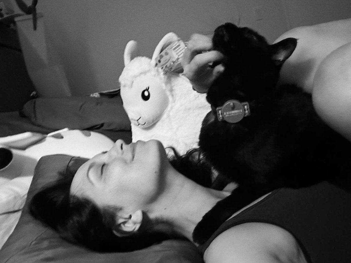 PamelaHorton13's tweet photo. 06/20/2008 - 2/19/2023, and he chose me to be his mommy every day.

I can’t properly think right now. Please understand.
#moose #moosecat #bestcat #mybabyboy #foreverlove https://t.co/VbyvgkysIV