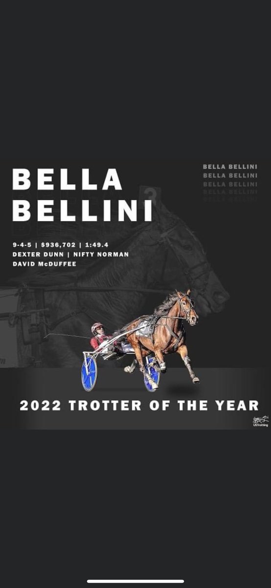 Nifty Norman Stables (@normanstables) on Twitter photo 