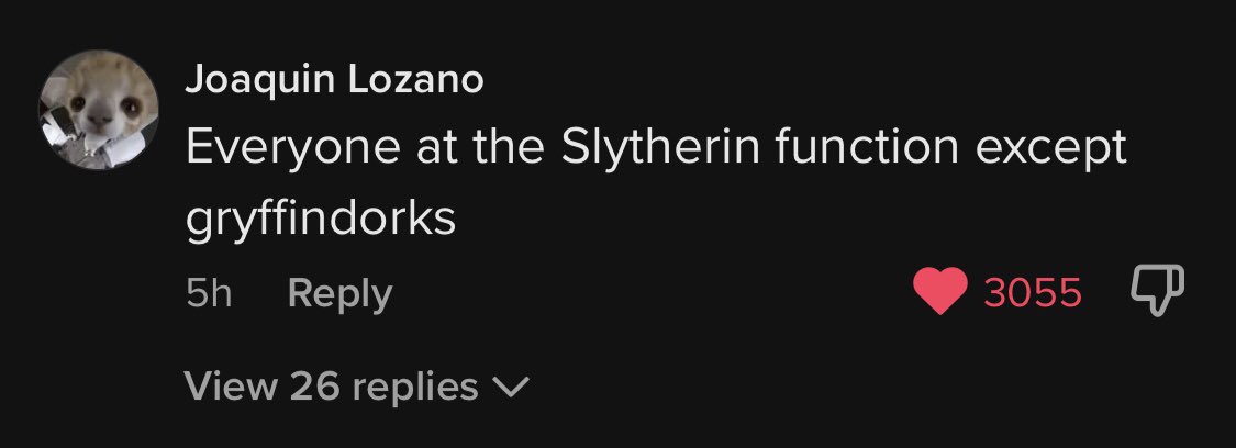 Don_tMindMe's tweet photo. Some of my fav hp tiktok comments https://t.co/l0bT7SA5fk