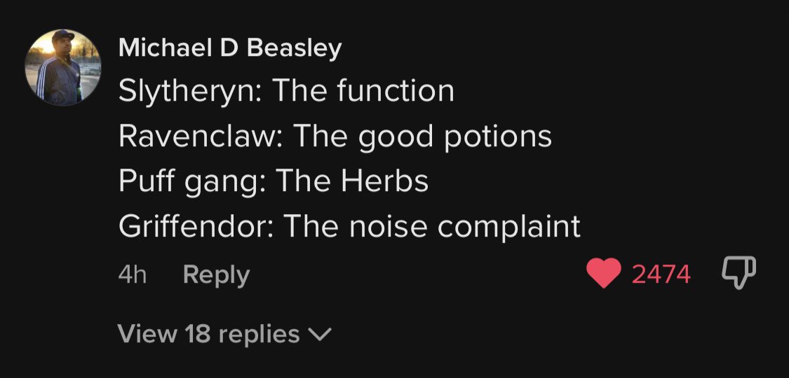 Don_tMindMe's tweet photo. Some of my fav hp tiktok comments https://t.co/l0bT7SA5fk