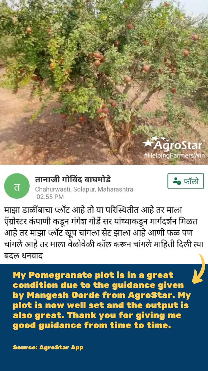 agrostar_in's tweet photo. AgroStar โค๏ธ Farmers (and vice-versa ๐)
#WorkingForImpact is rewarding when our farmers shower us with so much love. Such testimonials are the ultimate source of #motivation at #AgroStar. ๐ฅ ๐คฉ
#HelpingFarmersWin
#mondaymotivation #customertestimonials #indianfarmers #agritech https://t.co/iGFmzLlhfC