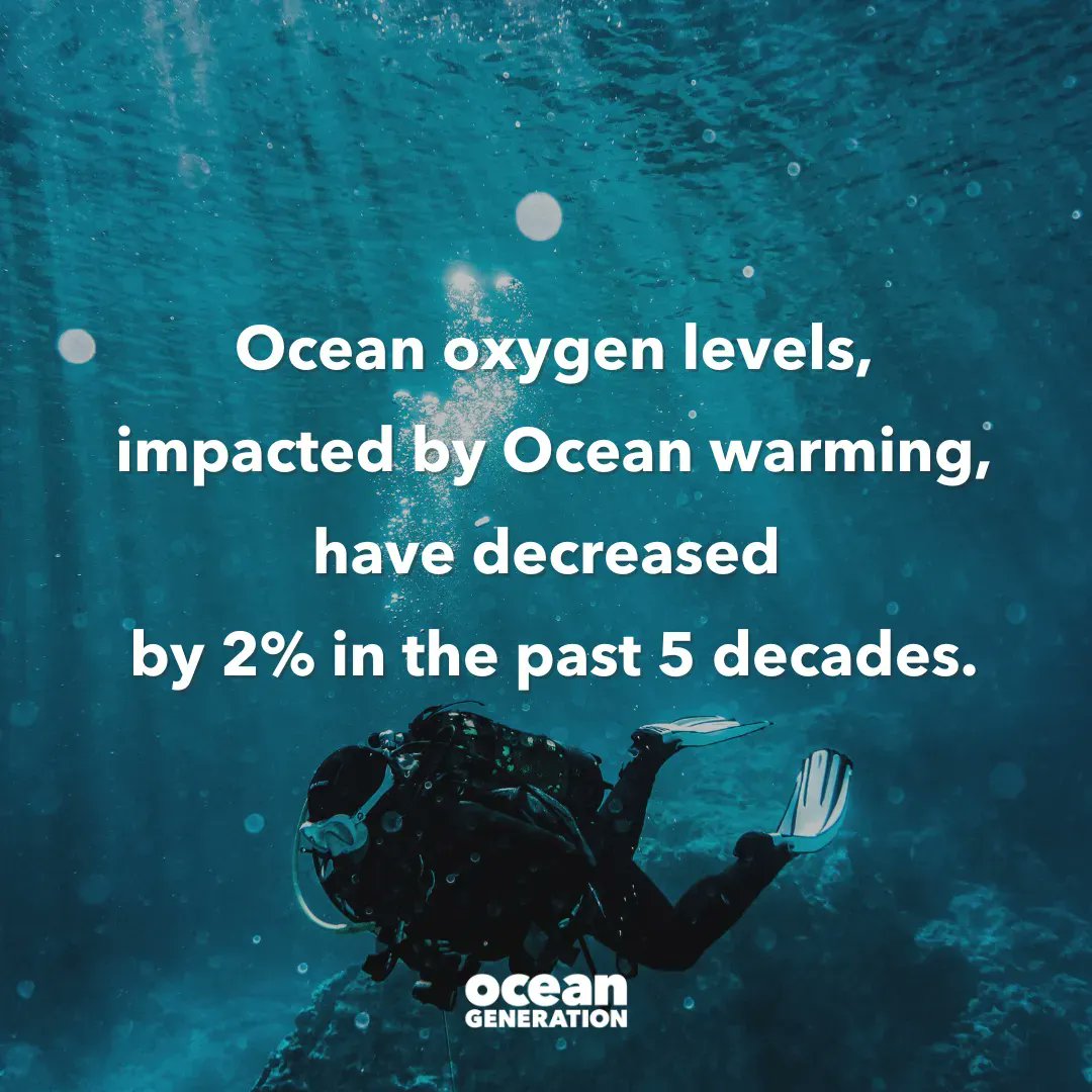 oceangen_'s tweet photo. Ocean oxygen levels, as a result of global warming, have decreased by 2% in the past 5 decades and are expected to reduce a further 3–4% by 2100. 
#OceanGeneration #Ocean #GlobalWarming https://t.co/BXLRIuNXG2