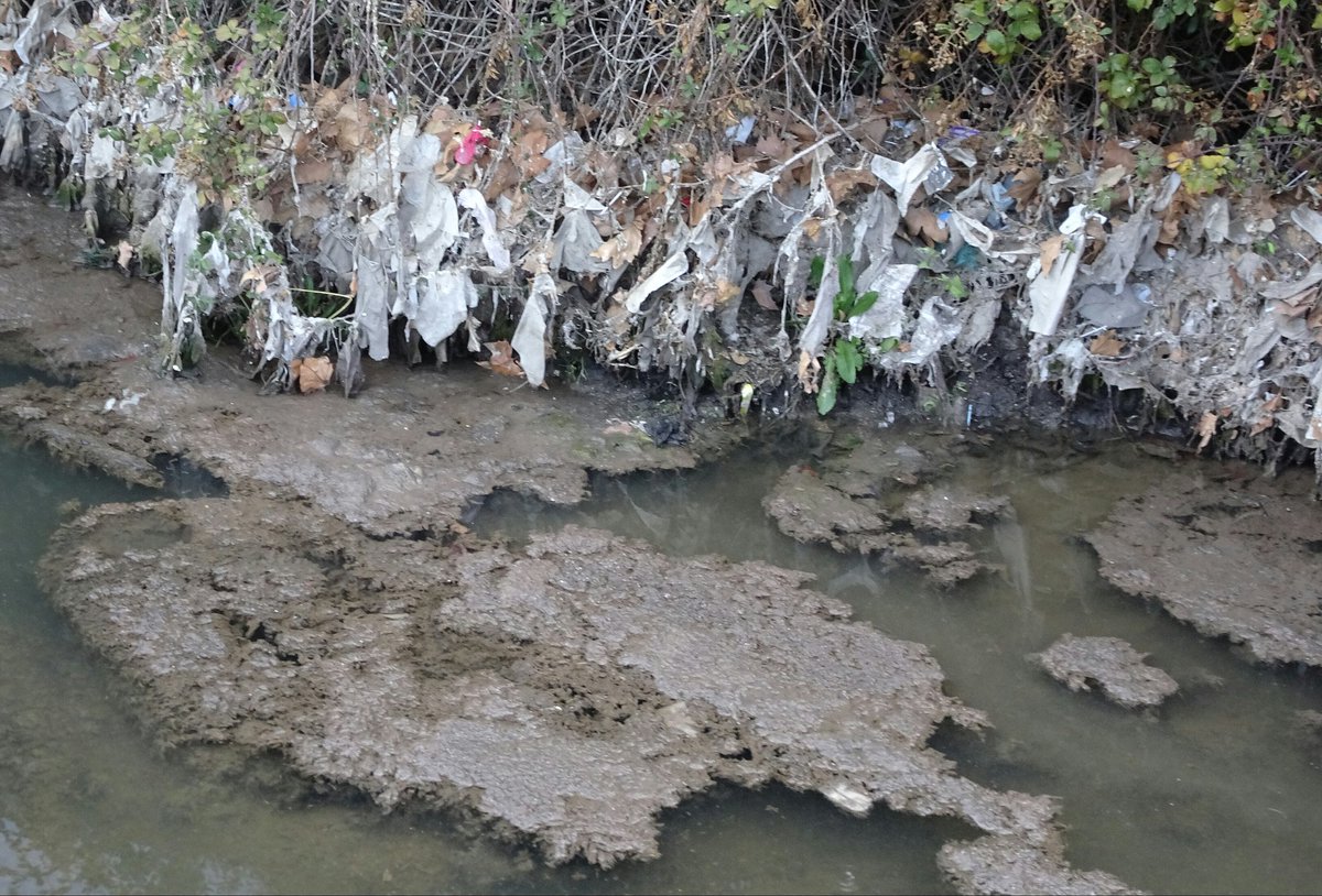 Santi_MBarajas's tweet photo. El vertido de las toallitas húmedas por el inodoro, supone un grave problema ambiental, contaminando los ríos, y genera graves problemas técnicos en las depuradoras. A pesar de lo que pone en muchas etiquetas, no son biodegradables. Habría que prohibir su fabricación y venta. https://t.co/7nf7XTqHCi