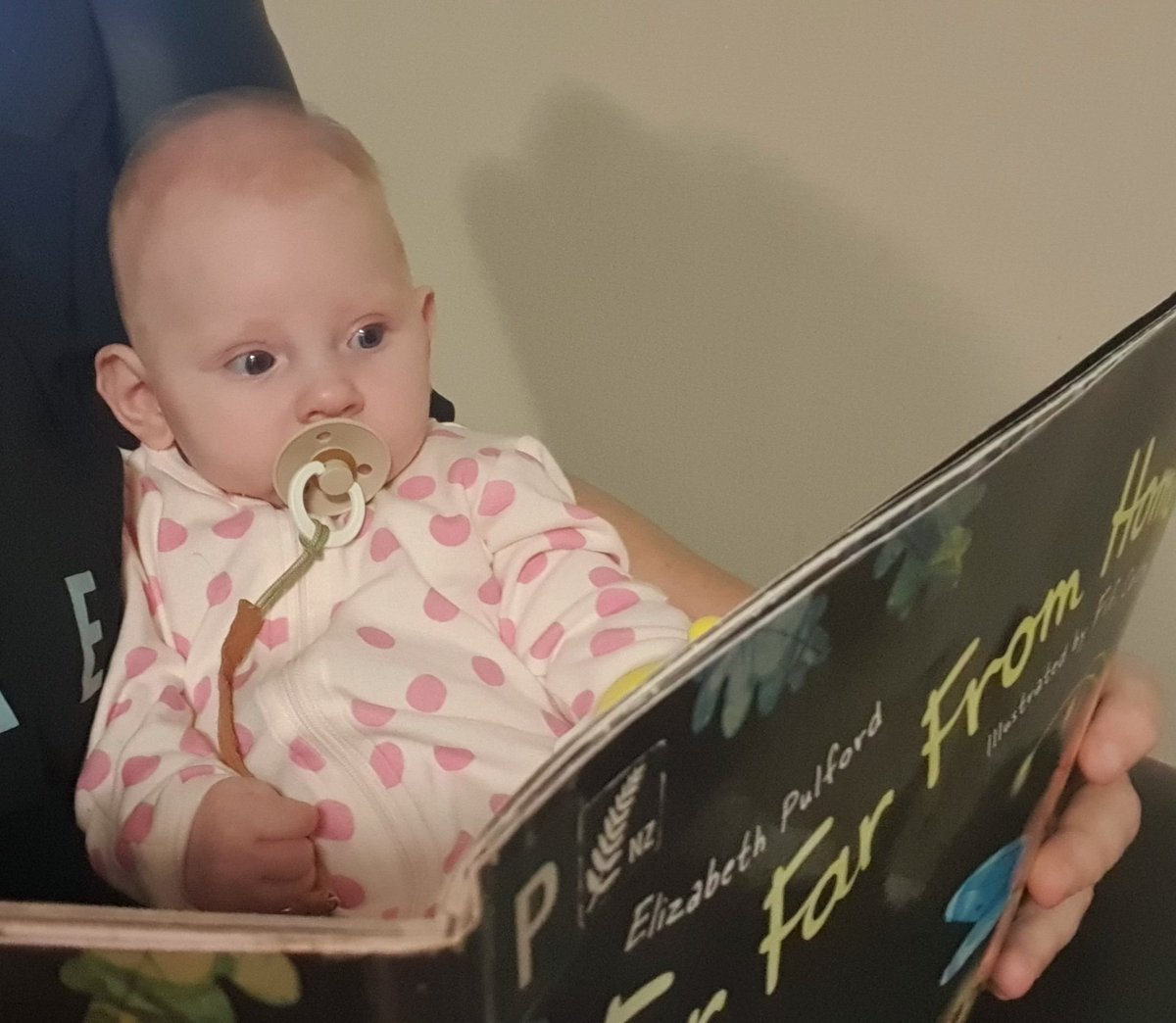 KAF_x's tweet photo. One of our favourite bedtime stories is Far, Far from Home by Elizabeth Pulford. Sofia loves the illustrations by @FifiColston 

@KiwiLibrarian @Maria_Brewerton https://t.co/21bHtvLvFJ