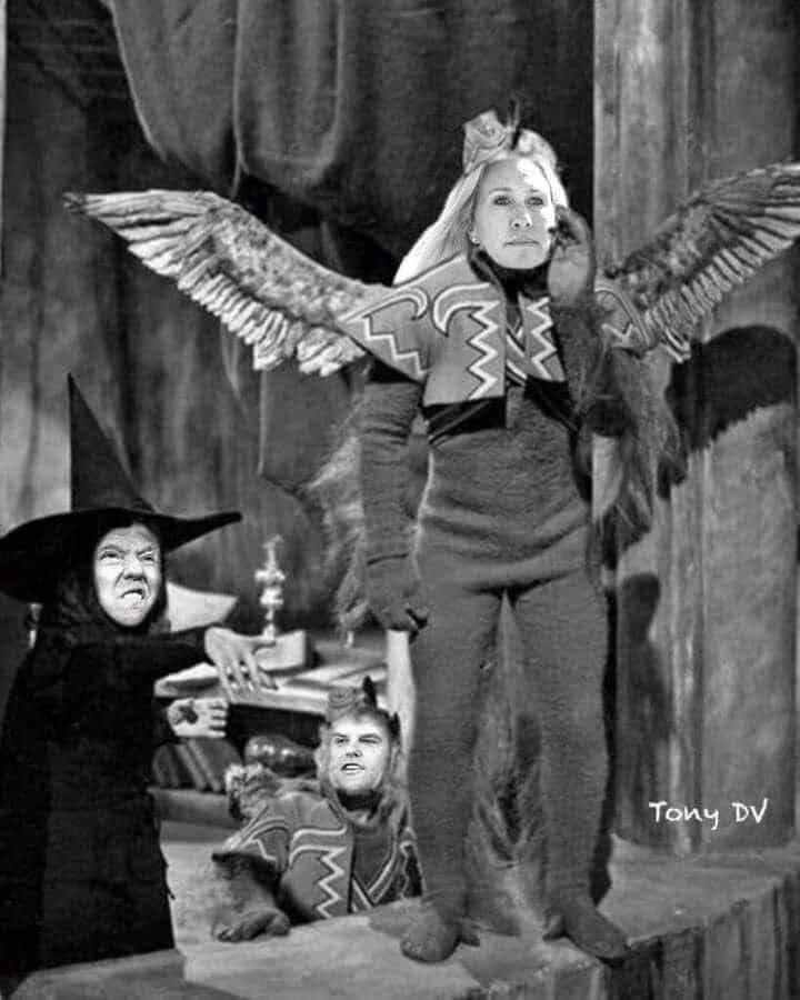 Alison7613's tweet image. The best yet. The #narcissist and the #flyingmonkey