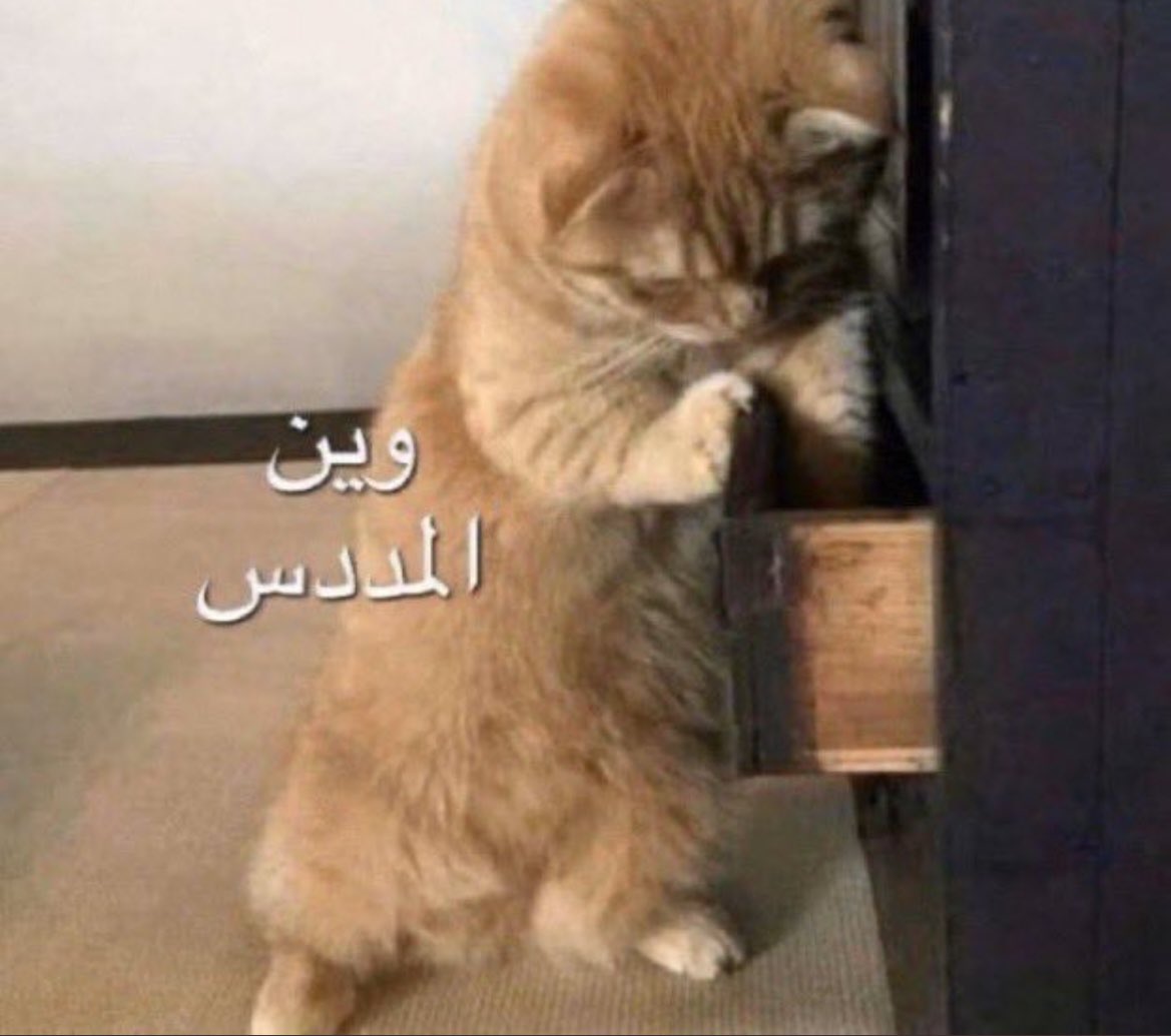 arch_iman1's tweet photo. الحل الاخيرر
#نطالب_بالبث_المباشر_UOB 
#خريجي_جامعة_البريمي_يستغيثون https://t.co/D5DVRyPEtH