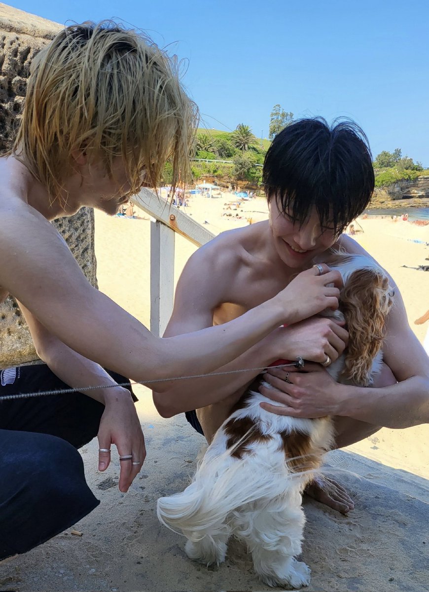straykidsxzone's tweet photo. La verdad es que quisiera ser Berry, sin responsabilidades, sin preocupaciones, sin estrés, solo mimos de Stray Kids https://t.co/hmhHZHIRCD