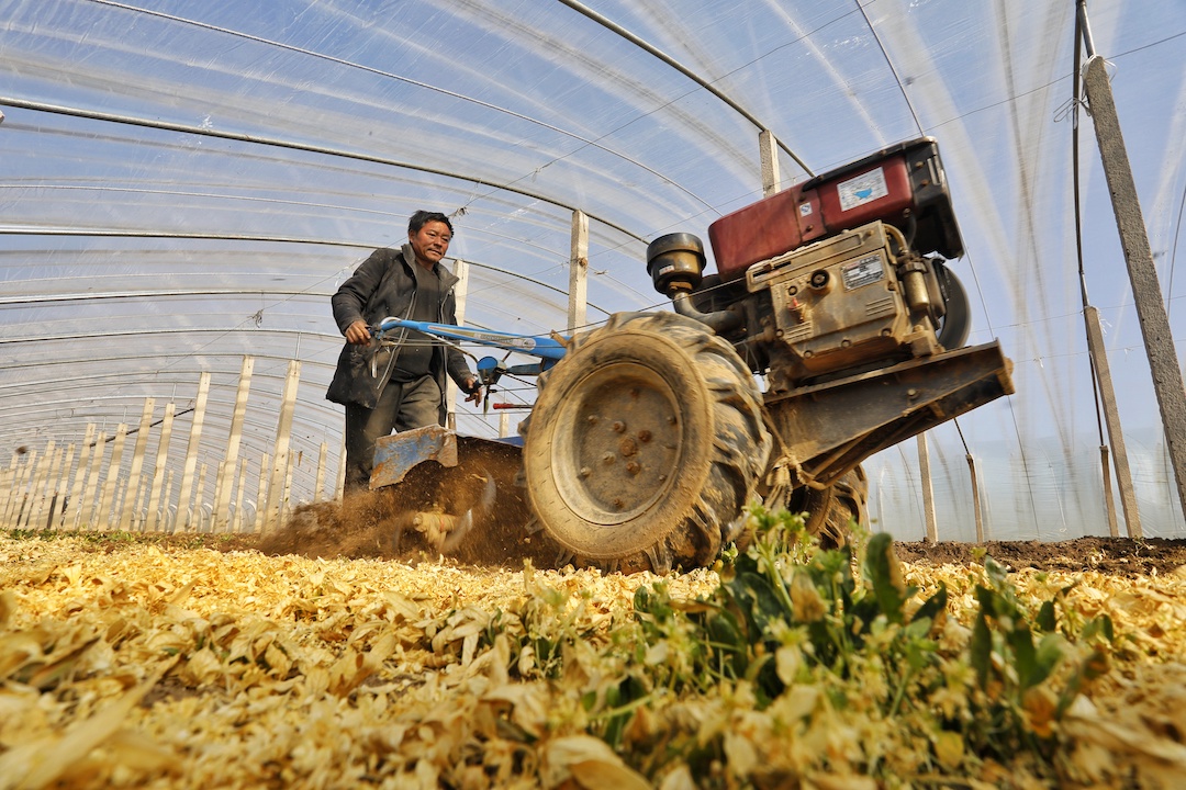 AmazingTaian's tweet photo. Farmers in #Taian's Daiyue district's Fanzhen town are busy as #spring approaches. The town has a 73.33+sq km #vegetable 🧅🥕🥔🍅🥒planting area and 12,000+ vegetable greenhouses. #DynamicTaian #HappyTaian https://t.co/Nb4GWU6apA