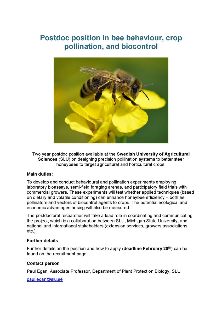 Two year postdoc available on designing 'precision pollination systems' – with <a href="/_SLU/">SLU</a> 🇸🇪 team &amp; @IsaacsLab
Welcome with applications to February 28th! 
See: bit.ly/3XG9wZX 🐝