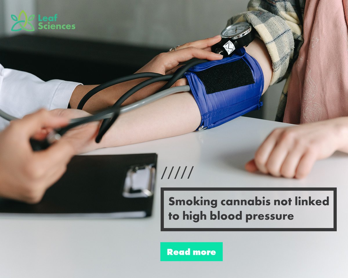 Researchers have found that there is potentially no association between smoking #cannabis and a higher likelihood of developing high blood pressure.

Learn more about the researchers' findings in this article from <a href="/teamleafie/">leafie</a>: ow.ly/xWjV50MSCyW