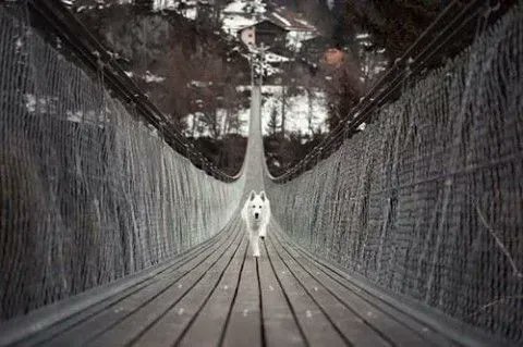DTNEtiquette's tweet photo. I'm coming for you is what I say to my daily challenges...not running away, not hiding! ~ #DTN #iamdetermined #ivegotthis https://t.co/0J5lmEKanS