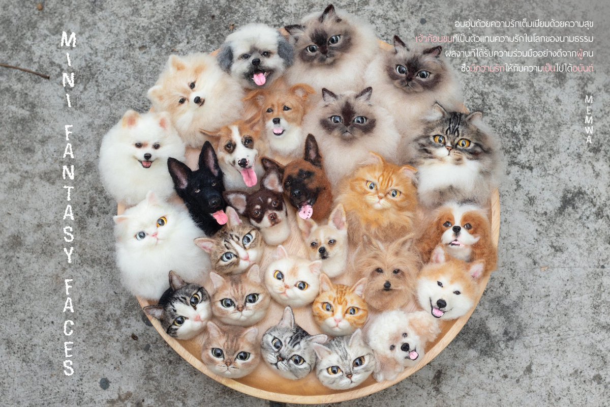 memwa_handmade's tweet image. MINI fantasy faces 
ต้าวก้อนความรักทั้งหลาย
🖤🤎❤️🧡💛🤍

#minicat #minidog #handmade #needlefelting #cat #catart #catface #dog #dogart #dogface #art #ใยขนแกะ #羊毛フェルト作品 #羊毛フェルト #羊毛毡 #羊毛毡手作 #羊毛フェルト #羊毛氈 #羊毛氈手作 #羊毛氈狗 #羊毛氈貓