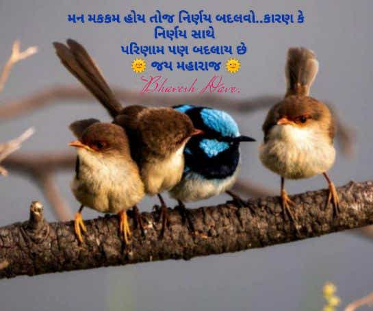 Sandip Solanki (@sansolanki535) on Twitter photo 