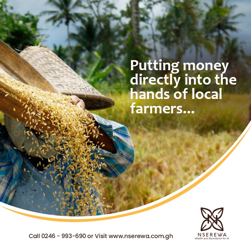 nserewagh's tweet photo. With GHS 3480, you can fund the production of rice on an acre and earn between 16% to 20% return in 6 months, between April and September.

Visit https://t.co/H1IWqxGWcN for more info and subscription.

#Nserewa https://t.co/BEgrRqz4Fu