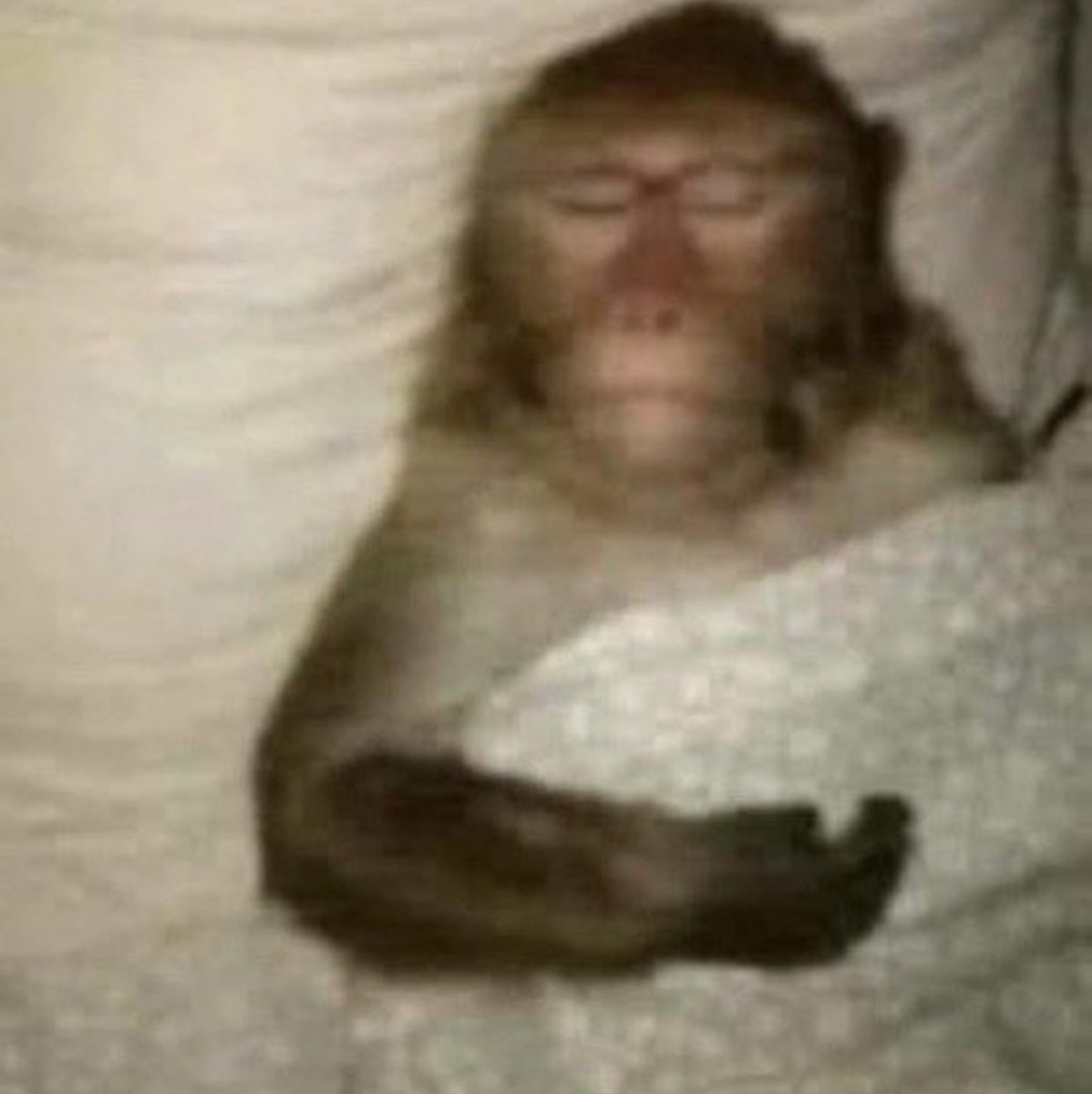 𝗕𝗿𝗲𝗲𝘇𝘆’🦉 tweet media