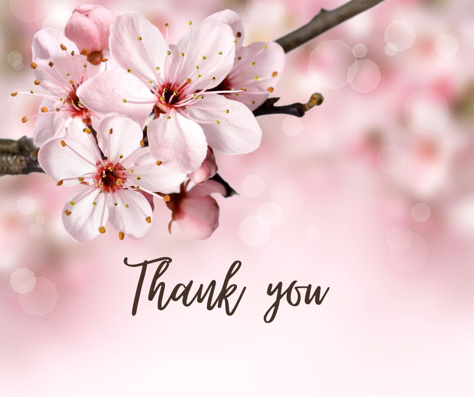 Momentum Healthcare tweet media