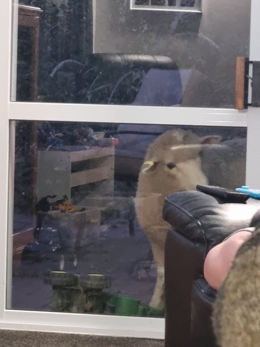 Ben Dooley 🧢 tweet media