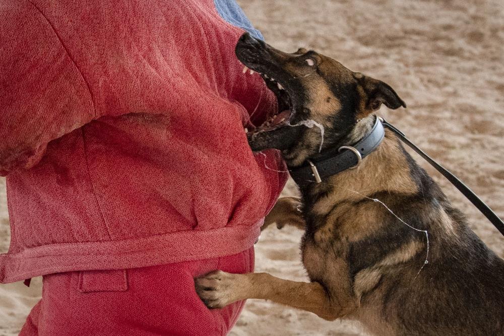 386th Air Expeditionary Wing tweet media