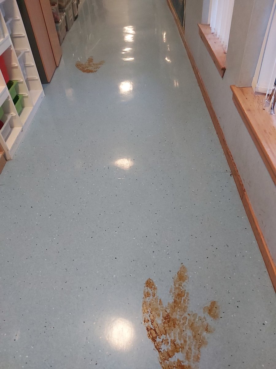 abbeyprimarysch's tweet photo. Looks like we've had some visitors in the school over the weekend! P1-3 will be on the case today...🧐🦖🦕 https://t.co/uYEIUUDUga
