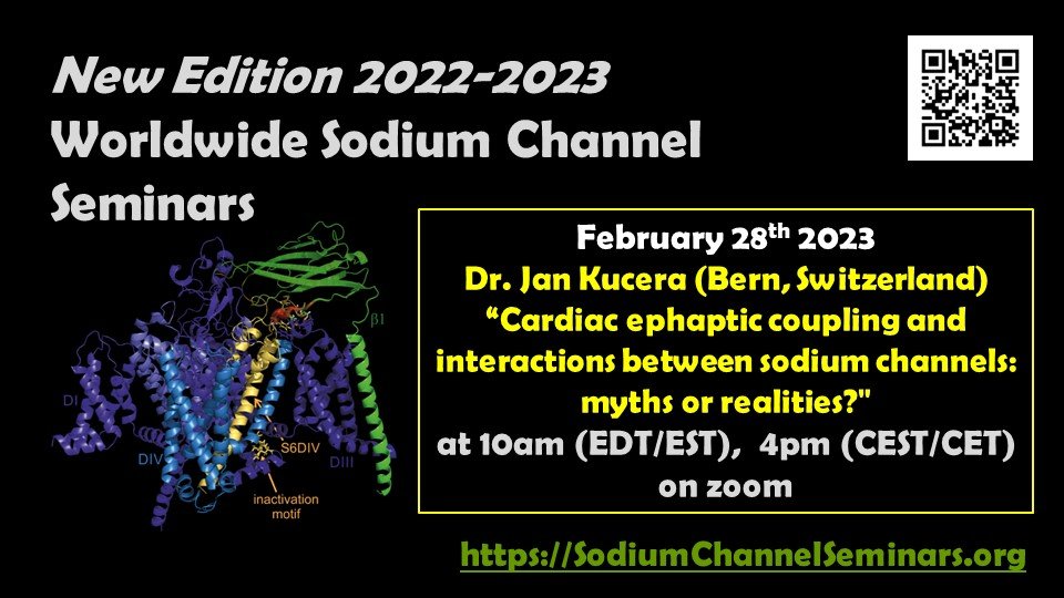 LampertLabRWTH's tweet photo. Dear Nav scientists, get ready for our next WWNav seminar right after #BPS2023 : Join us for a talk by Dr. Jan Kucera on "Cardiac ephaptic coupling and interactions between sodium channels" on Feb 28th. https://t.co/W3G6Q7QJO3 for links and infos. @SwissIonChannel @IamshanovaO https://t.co/LipKCM5fiC