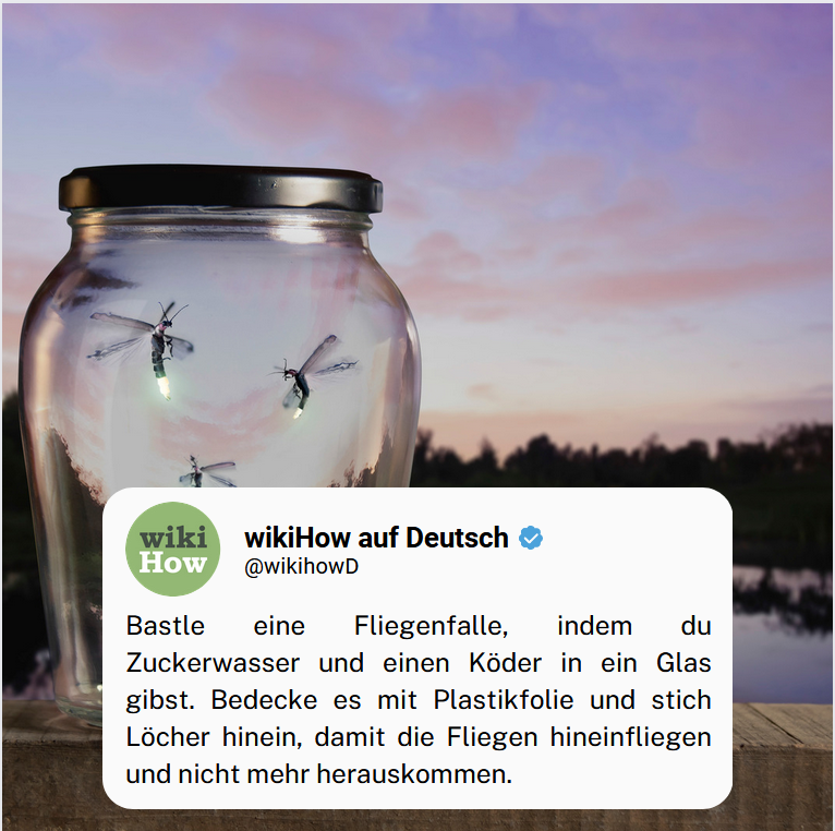 WikihowD's tweet photo. Kanntest du diesen #Trick? 🪰🪰Erzähle es uns in den #Kommentaren. #wikihowd https://t.co/CIPfKhC4Kg