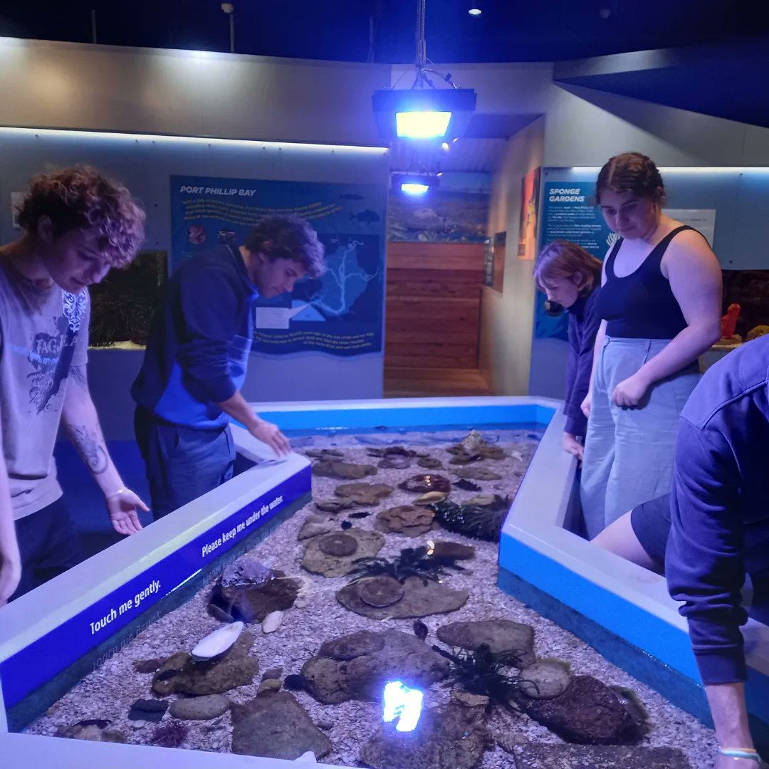 rebeccabhull's tweet photo. Exploring the #MarineandFreshwaterDiscoveryCentre, #Queenscliff during #ZOOL30008 #ExperimentalMarineBiology.
@scimelb @unimelb #marinebiology #fieldcourse https://t.co/J9giNKRqzr