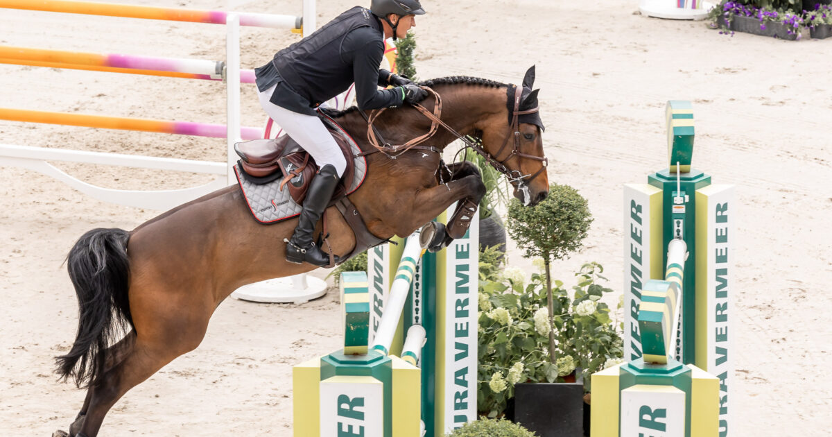 RVoskuilen's tweet image. De paardensport is blij met &apos;mafkezen&apos; zoals Fred Lodewijk!
#paardensport #springen #chiorotterdam
sowo.kr/6R3UPgRo