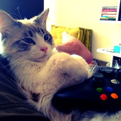 Te quiero mucho gatito gamer 🥰

Feliz #DiaDelGato