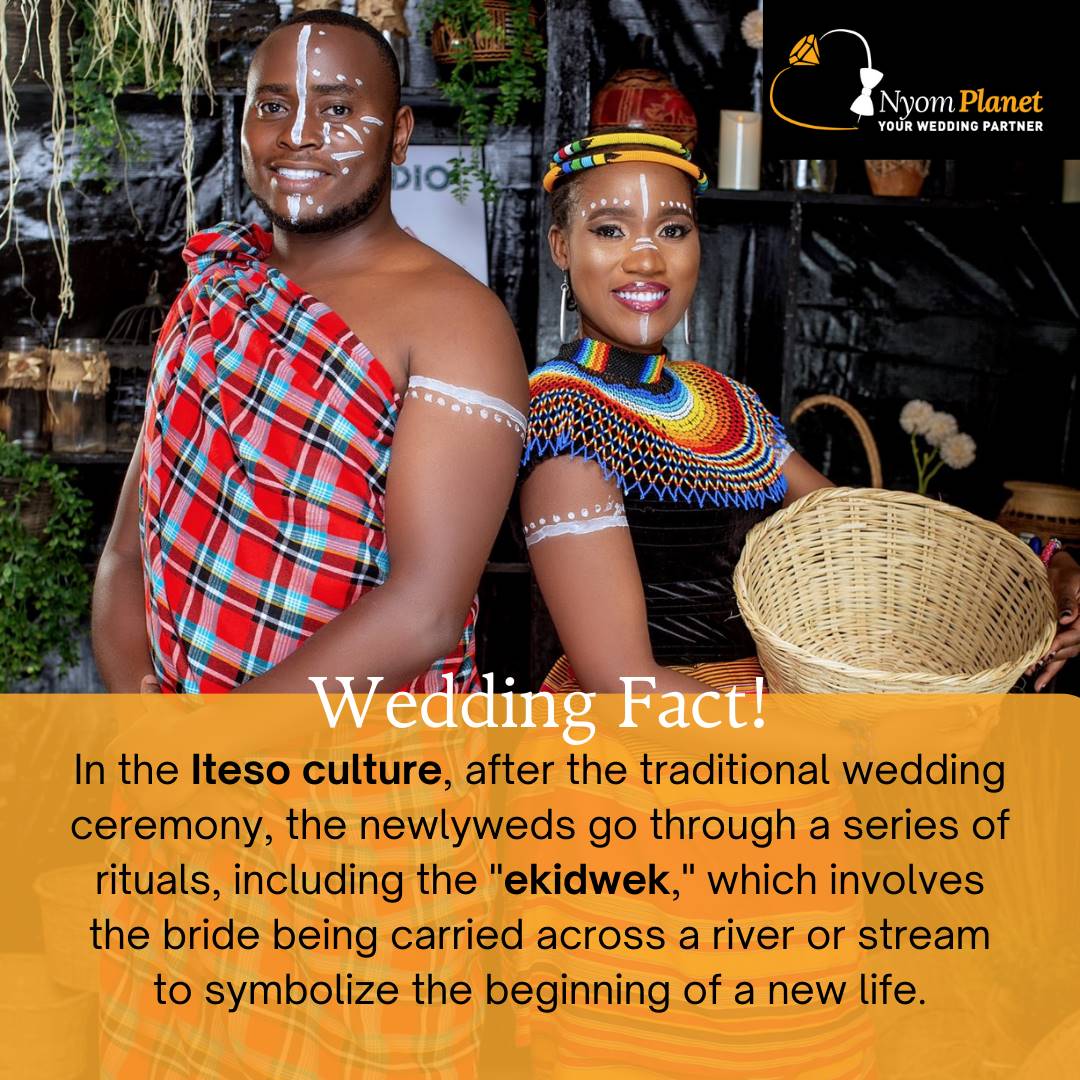 NyomPlanet's tweet photo. Experience the beauty and depth of African wedding traditions with the Iteso culture's post-wedding ritual of Ekidwek.
Crossing the stream represents a new chapter in the newlyweds' lives. 🏞️💍
#Iteso #AfricanCulture #didyouknow #funfact #weddingfact #nyomplanet #planner #ug https://t.co/WzmQYqr85W