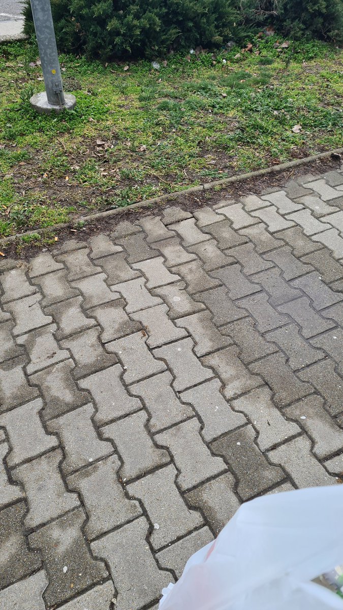 KupaMista's tweet image. Guess who locked themself out of apartment and is now experiencing what it's like to be #homeless. 🏠🚫 #lockedout #nomorekeys