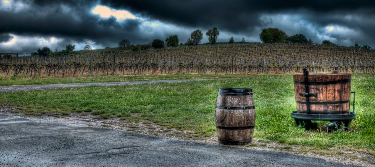 VinogenyEdition's tweet photo. I produttori di vino di Bordeaux hanno fatto una scioccante richiesta formale al governo nazionale francese.
https://t.co/0iNTHgT9lH
#vino #wine #winelover #winelovers https://t.co/74giiWWUrq