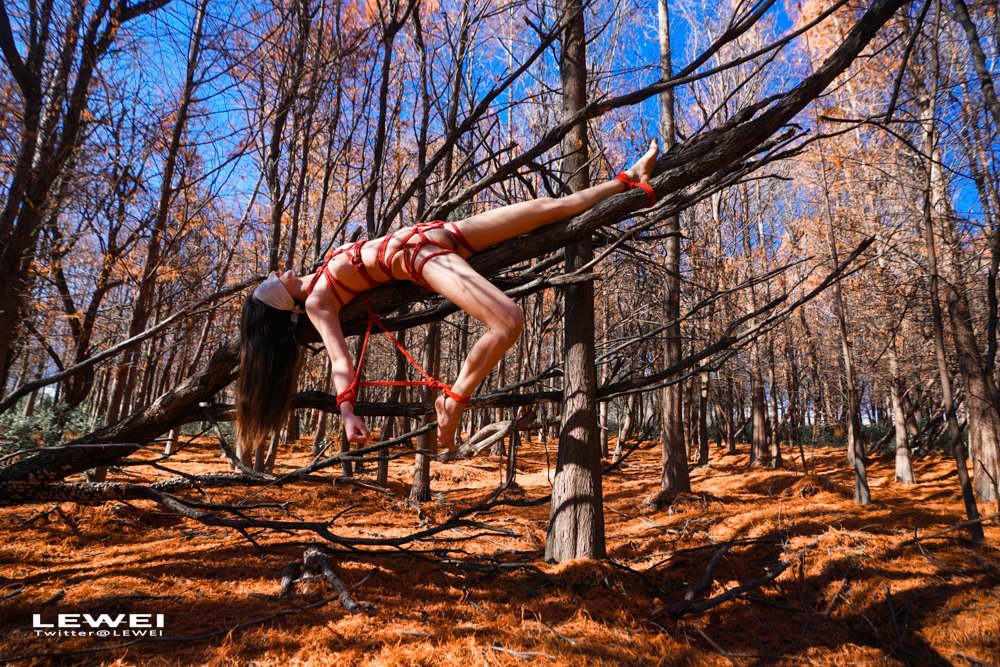 大理红杉~

#LEWEI #Shibari  #BabyArt #ChinaBondage #ChinaArt #Bondage #废墟捆绑
各类主题创作拍摄欢迎私我约拍～
投稿：
@Fengsiyuan
@tbzt3623
@wqganenshi_ https://t.co/605LGC6ztZ