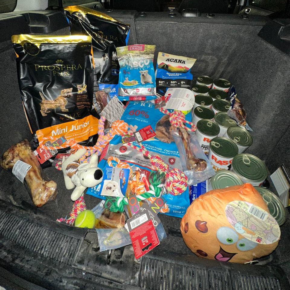 OfficialFlokita's tweet photo. Today we gonna go visit dog shelters and we will help them out

Stay tuned!

Spread love guys!

We believe we can build up a community of good hearted people &amp; make this charity come true in the future!

Which is one of our goals listed in our whitepaper!

https://t.co/hbcTi5pUf7 https://t.co/TcUsqKse1J