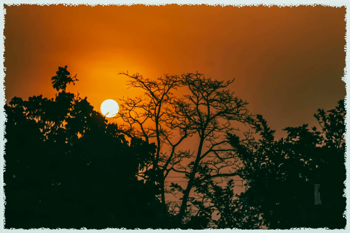 adambita237's tweet photo. Bonjour à tous,
Pour un mois de Février ensoleillé
20.02.2023
Magnifique couché de soleil sur le Cameroun
Crédit photo : @adambita237
Balade au coucher du soleil en Afrique.
Découvrir l'Afrique ➡😱🌇
#mboapic #streetphotographer #sunsethunters #sunset #sun
#BaladeEnAfrique https://t.co/fJg4vW7Zdb
