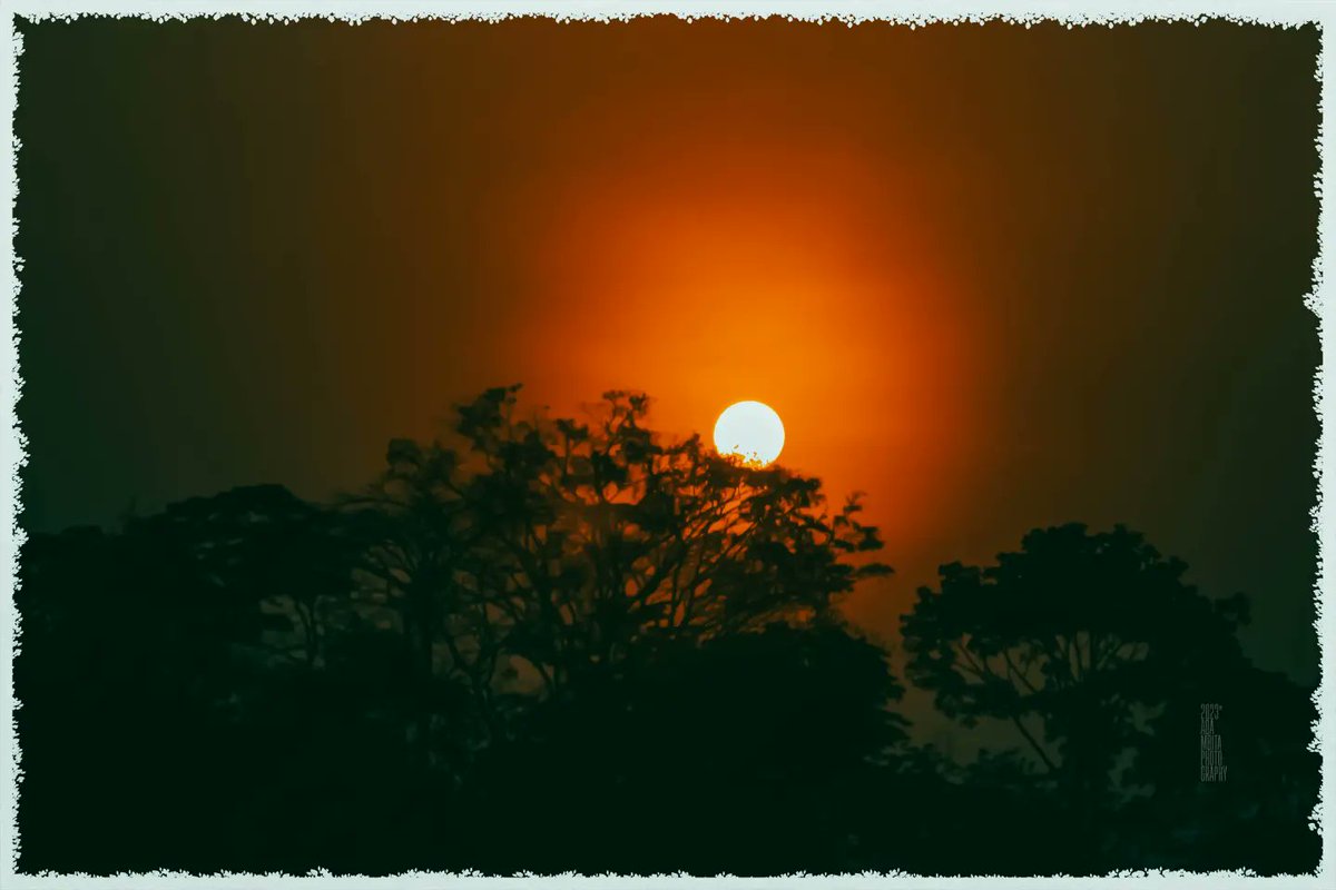 adambita237's tweet photo. Bonjour à tous,
Pour un mois de Février ensoleillé
20.02.2023
Magnifique couché de soleil sur le Cameroun
Crédit photo : @adambita237
Balade au coucher du soleil en Afrique.
Découvrir l'Afrique ➡😱🌇
#mboapic #streetphotographer #sunsethunters #sunset #sun
#BaladeEnAfrique https://t.co/fJg4vW7Zdb