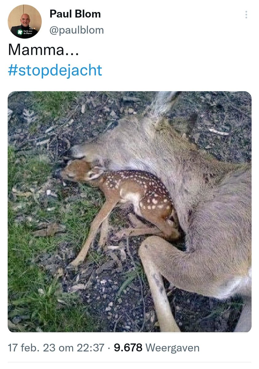 Foto's van verkeersslachtoffers gebruiken om mensen te laten geloven dat een #jager zoiets zou doen.

Kiezen kan nog. Voor misleiding, fake news, framing en dat soort fratsen kun je terecht bij  #partijvoordedieren, zeker in <a href="/gem_heuvelrug/">Utrechtse Heuvelrug</a>

#pvdd #jekuntnunogkiezen